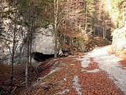 PB140052.JPG