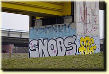 _IMG6978_mod.JPG