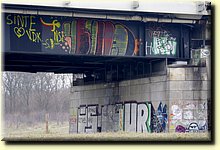 _IMG6981_mod.JPG