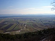 CIMG4129.JPG