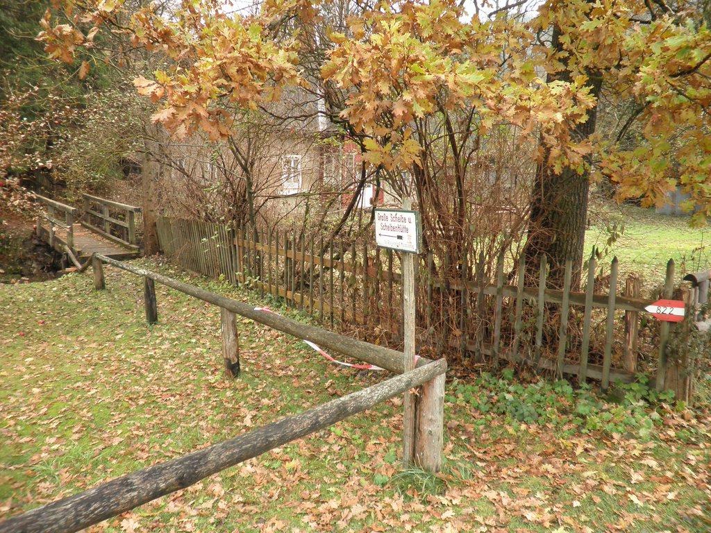 PB070004.JPG