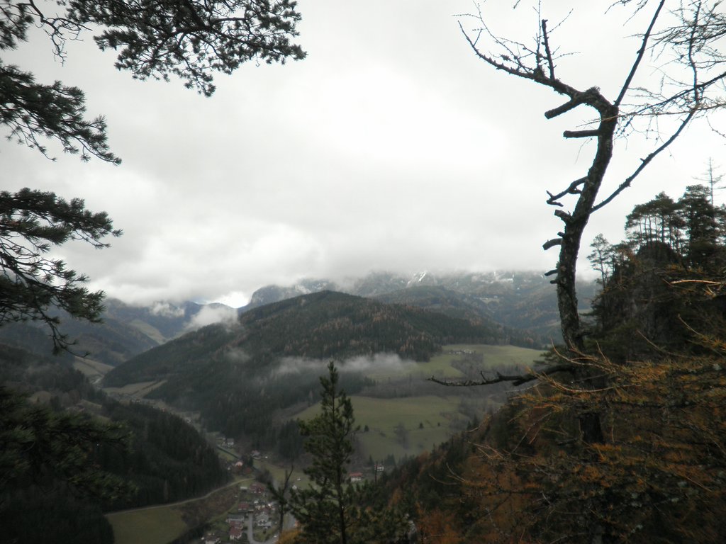 PB070018.JPG
