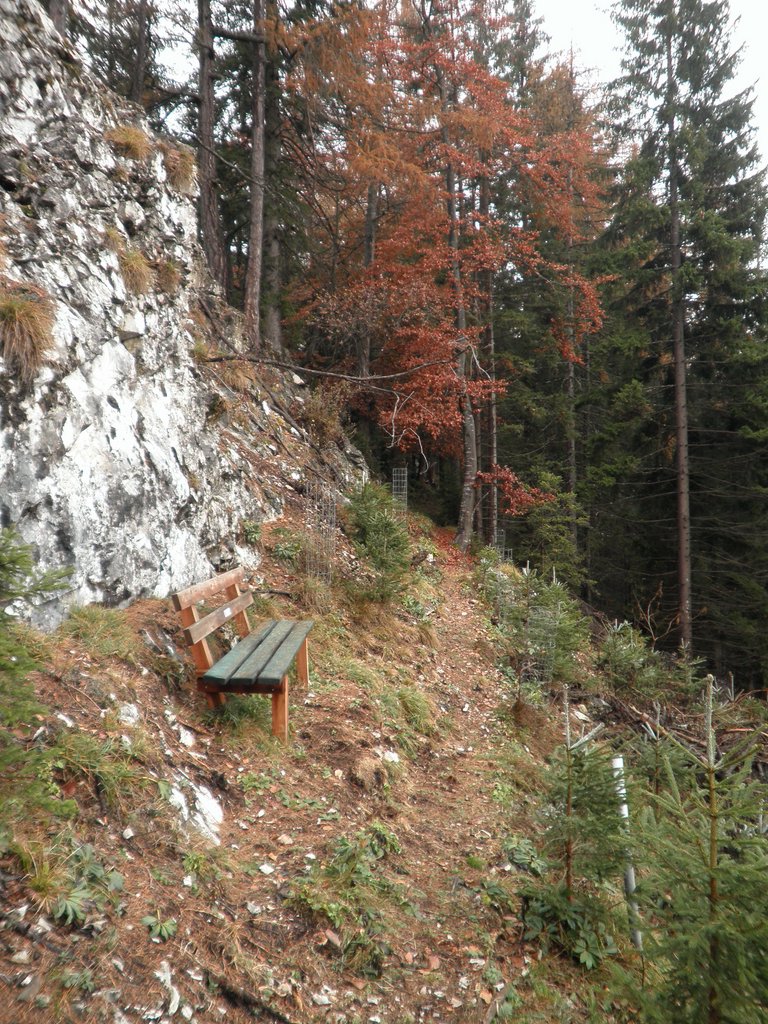 PB070021.JPG