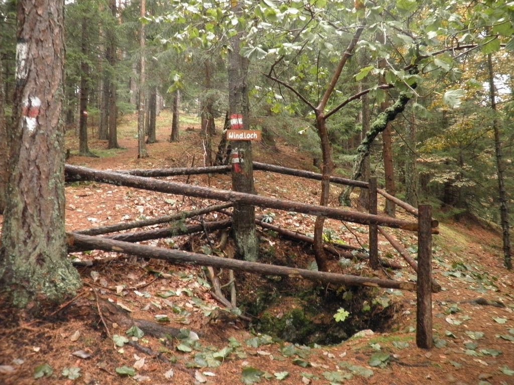 PB070023.JPG