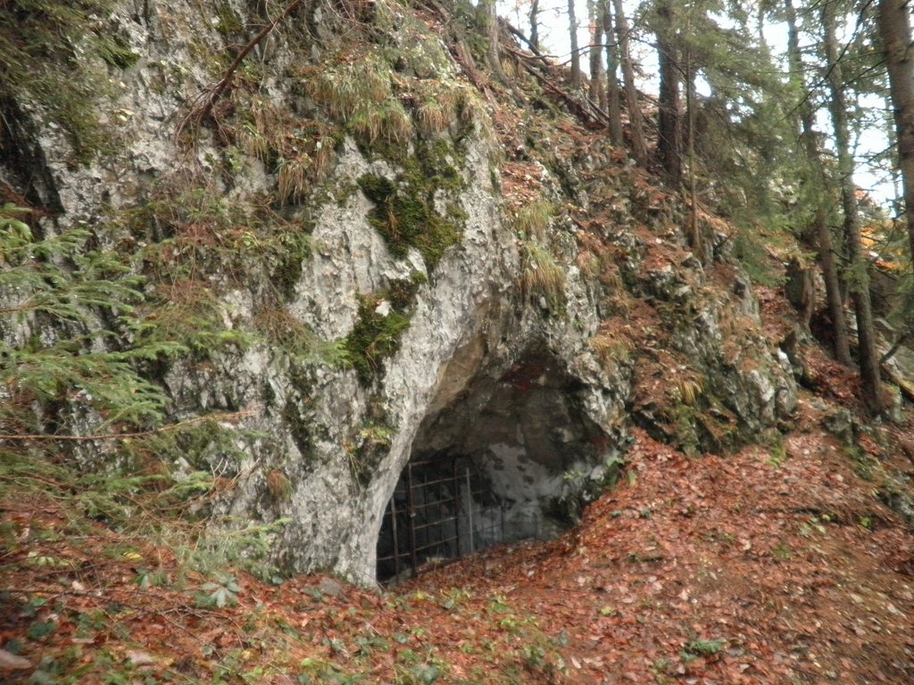 PB070025.JPG