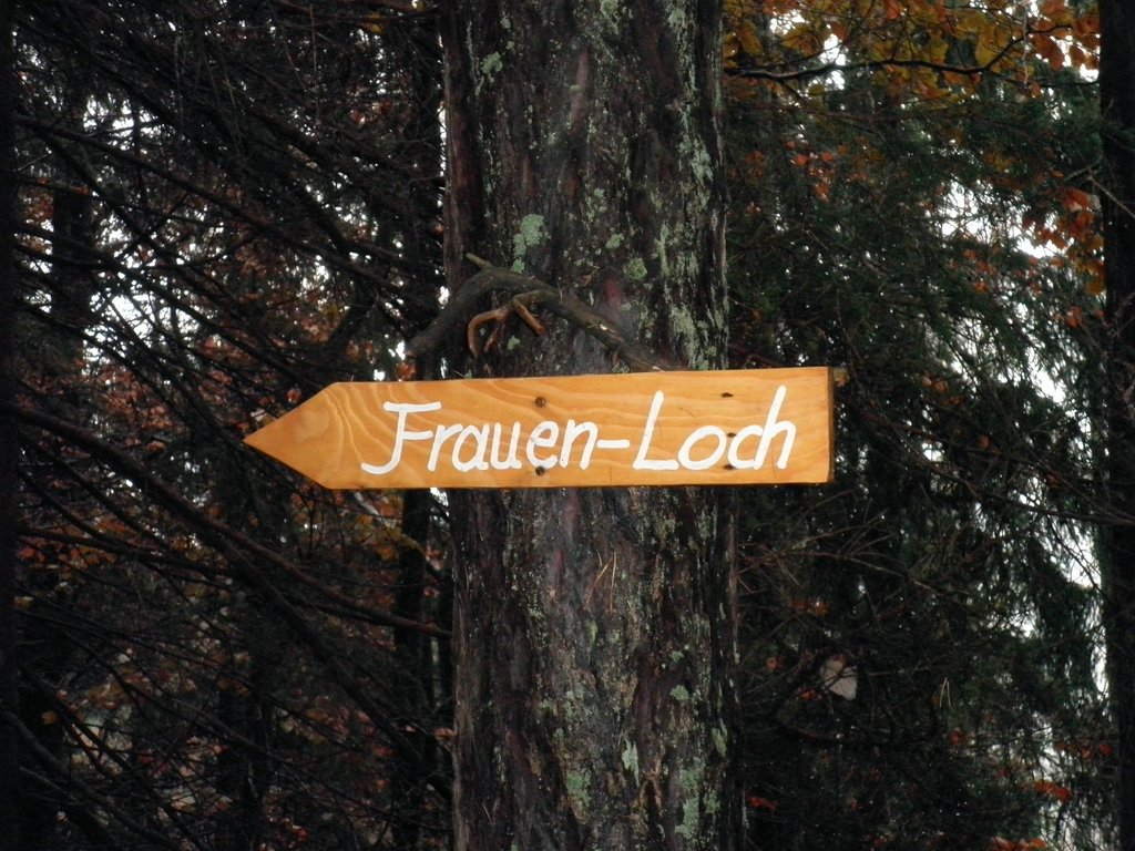 PB070027.JPG