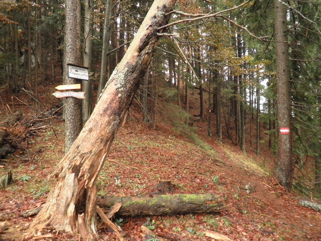 PB070030.JPG