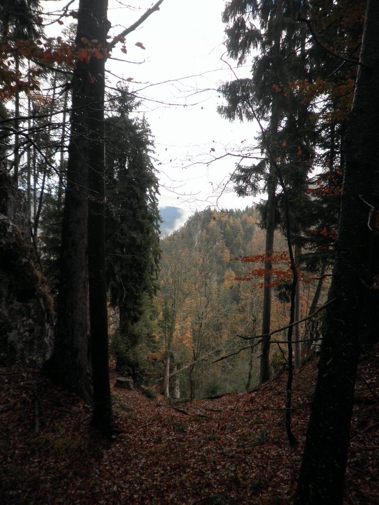 PB070034.JPG