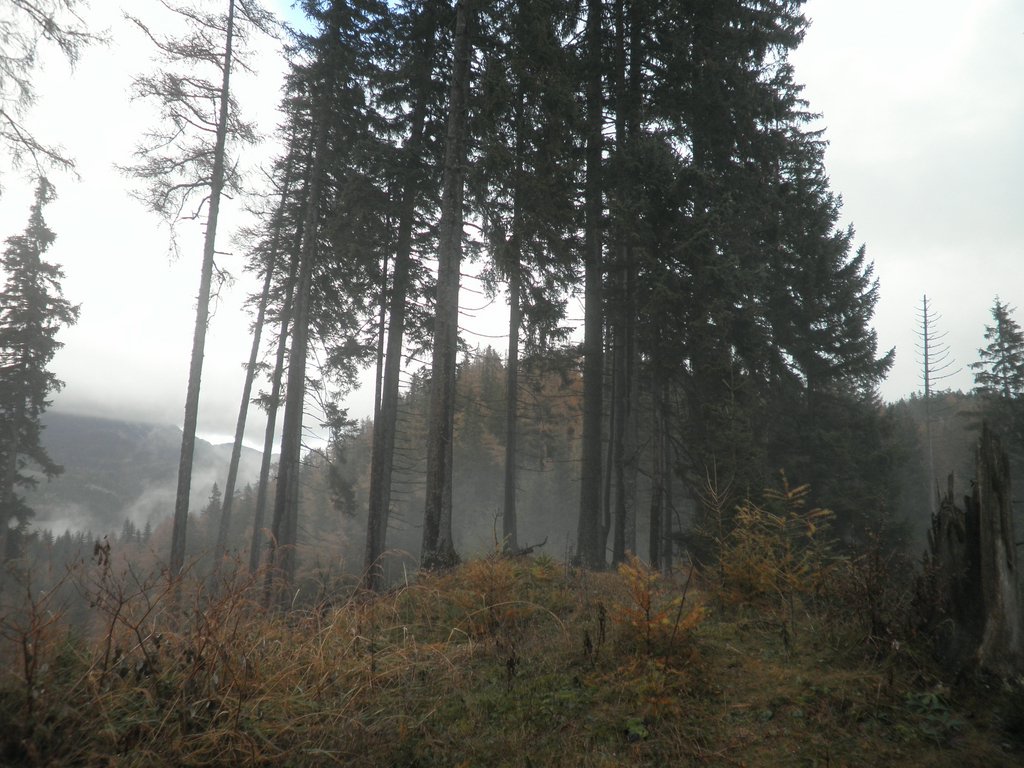 PB070041.JPG