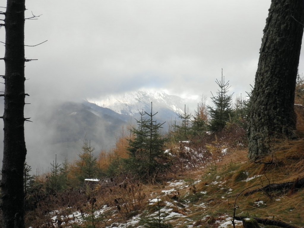PB070054.JPG