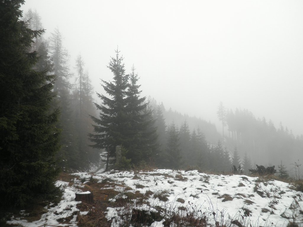 PB070056.JPG