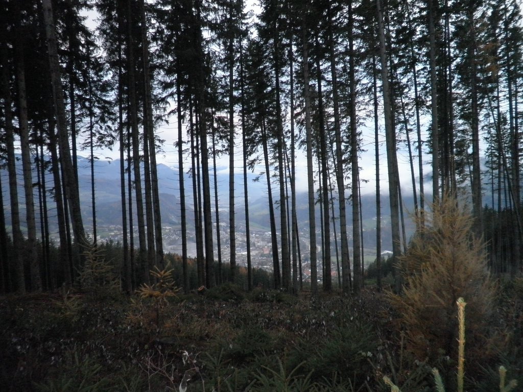 PB070079.JPG