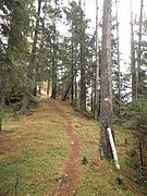 PB070019.JPG