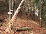 PB070030.JPG