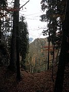 PB070034.JPG