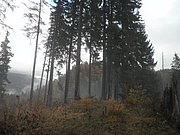 PB070041.JPG