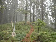 PB070046.JPG