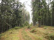 PB070048.JPG