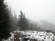 PB070056.JPG