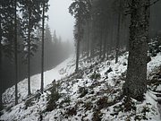 PB070061.JPG