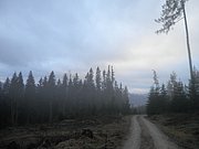 PB070077.JPG