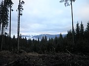 PB070078.JPG