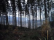 PB070079.JPG