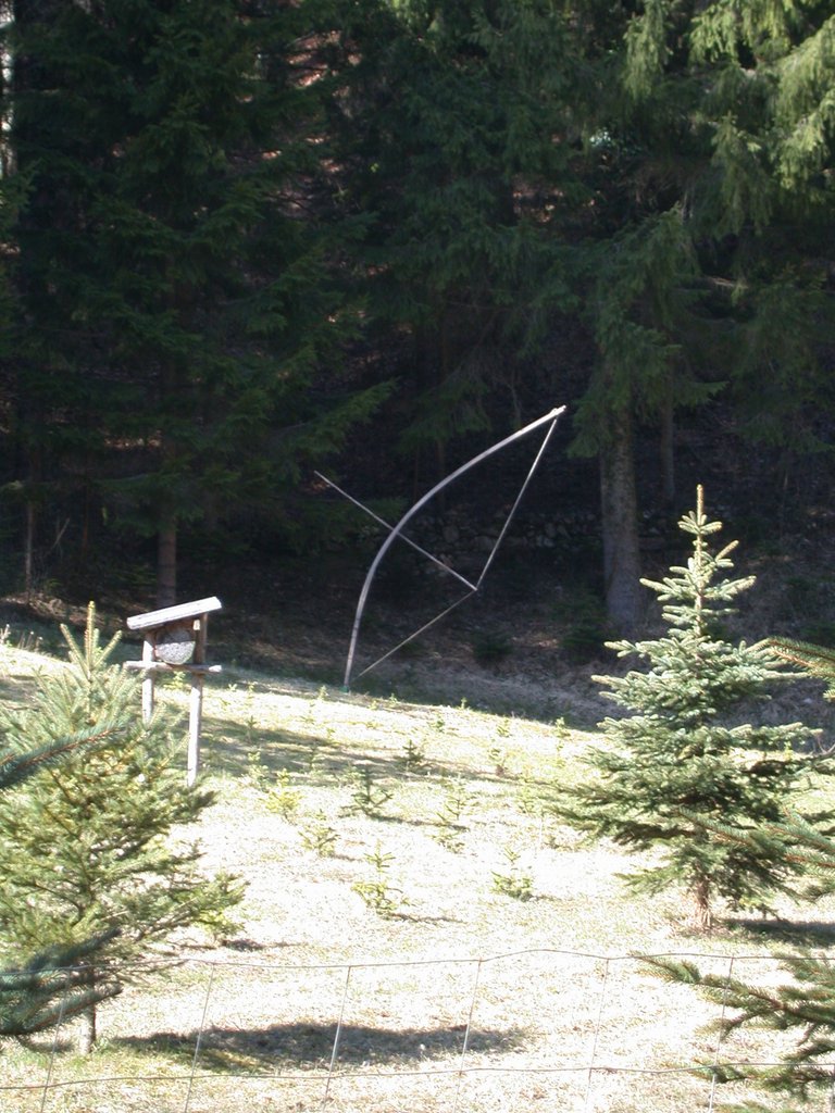 DSCN5002.JPG