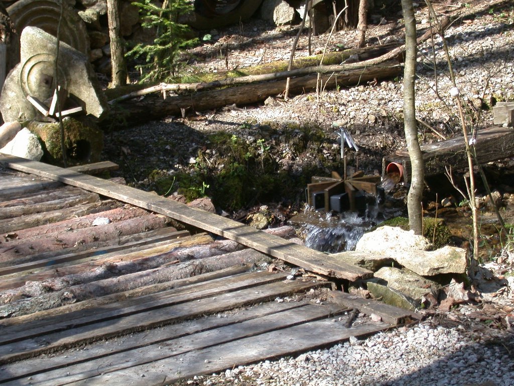 DSCN5004.JPG