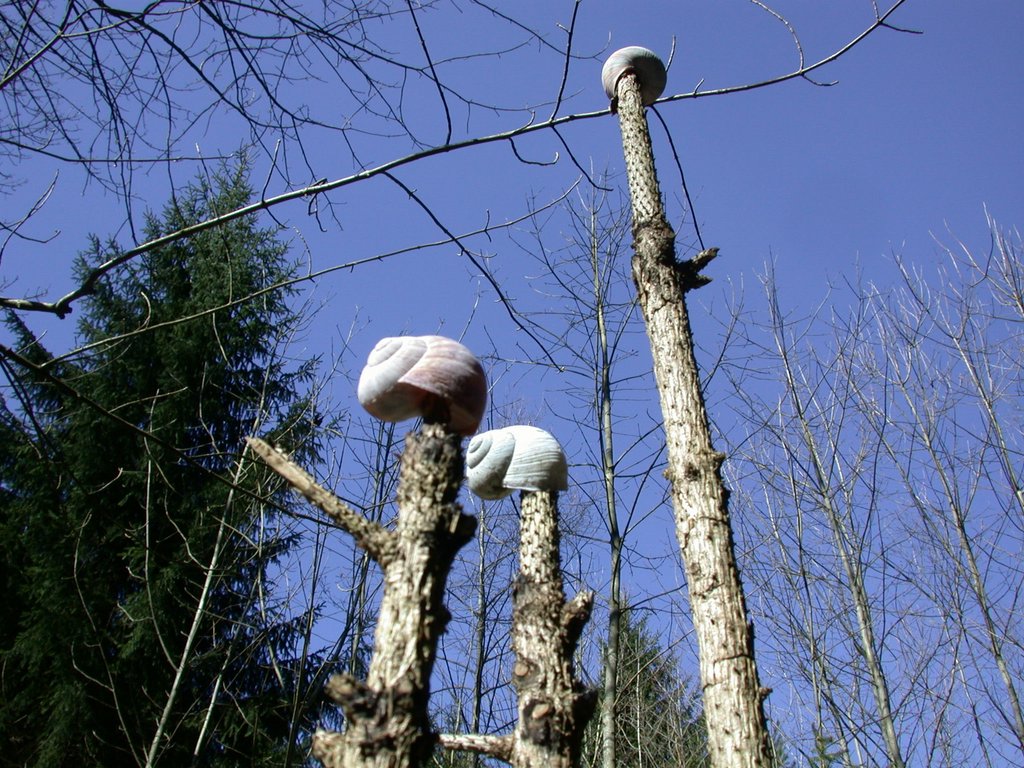 DSCN5008.JPG