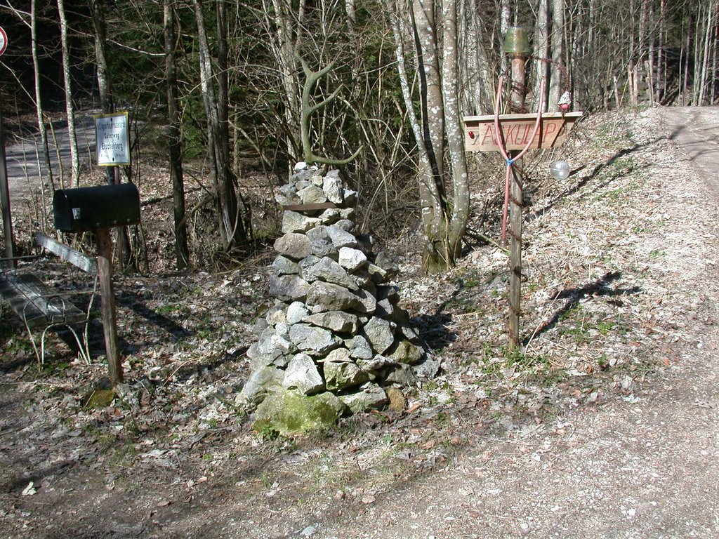 DSCN5012.JPG