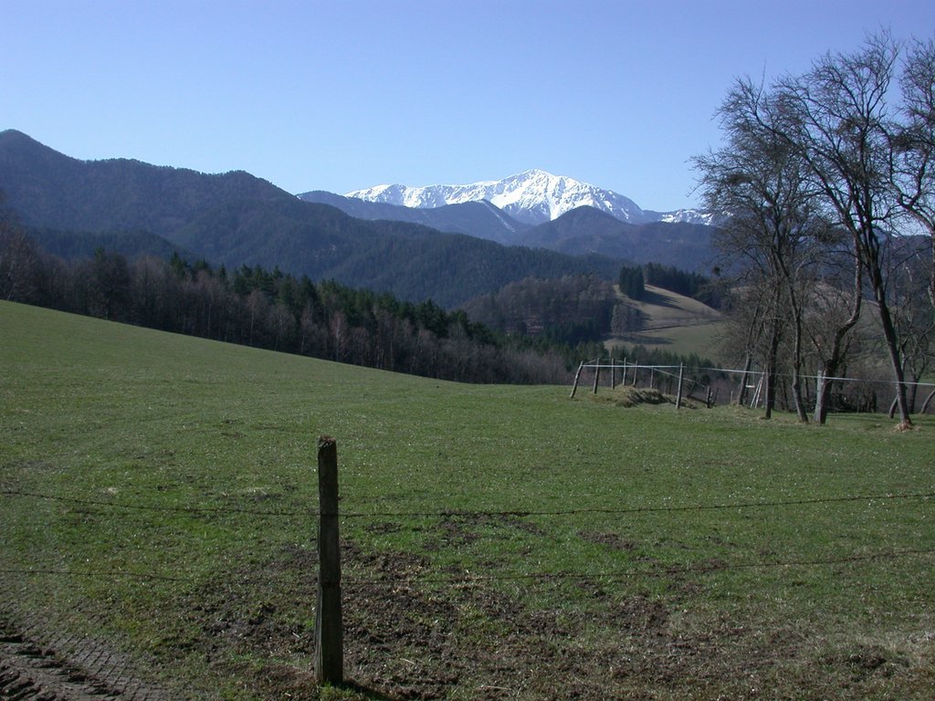 DSCN5013.JPG