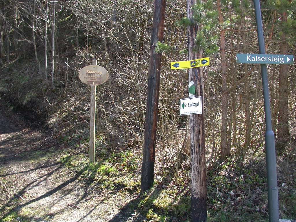 DSCN5015.JPG