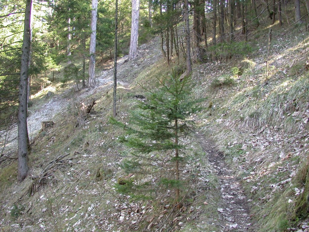 DSCN5016.JPG
