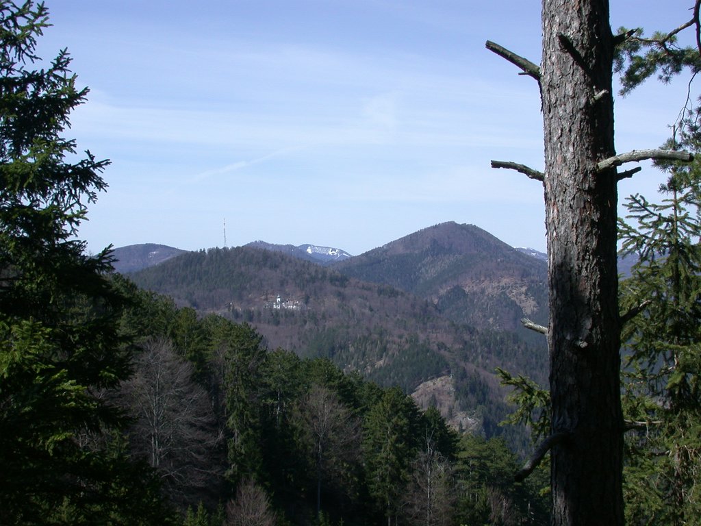 DSCN5017.JPG