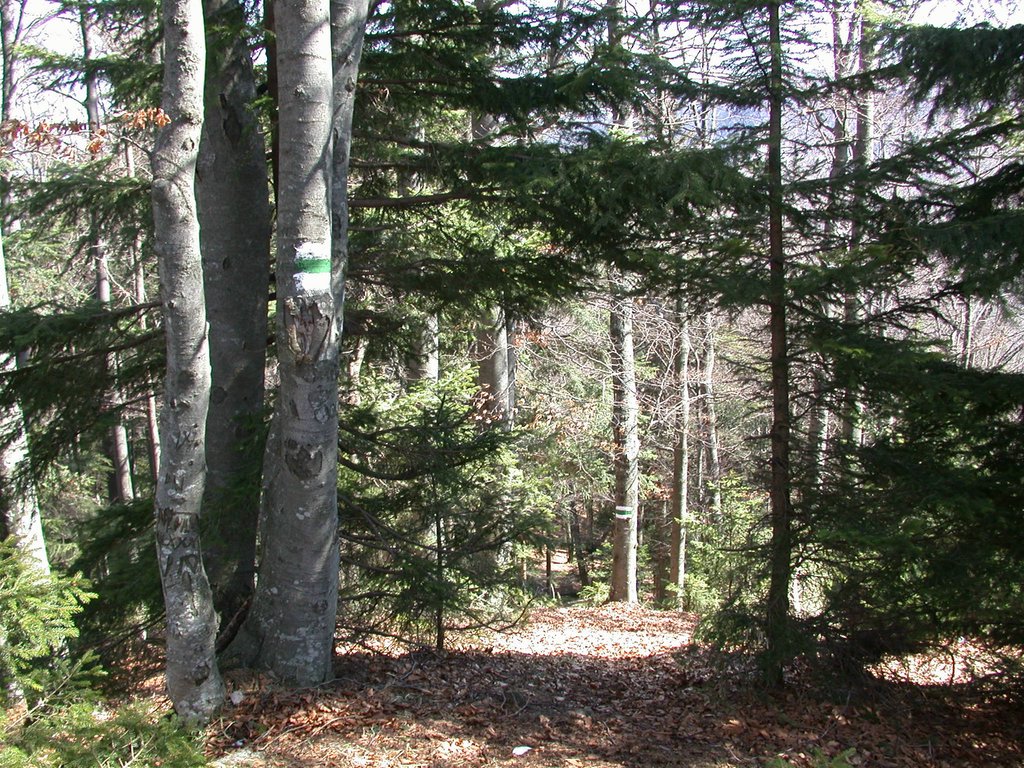 DSCN5023.JPG