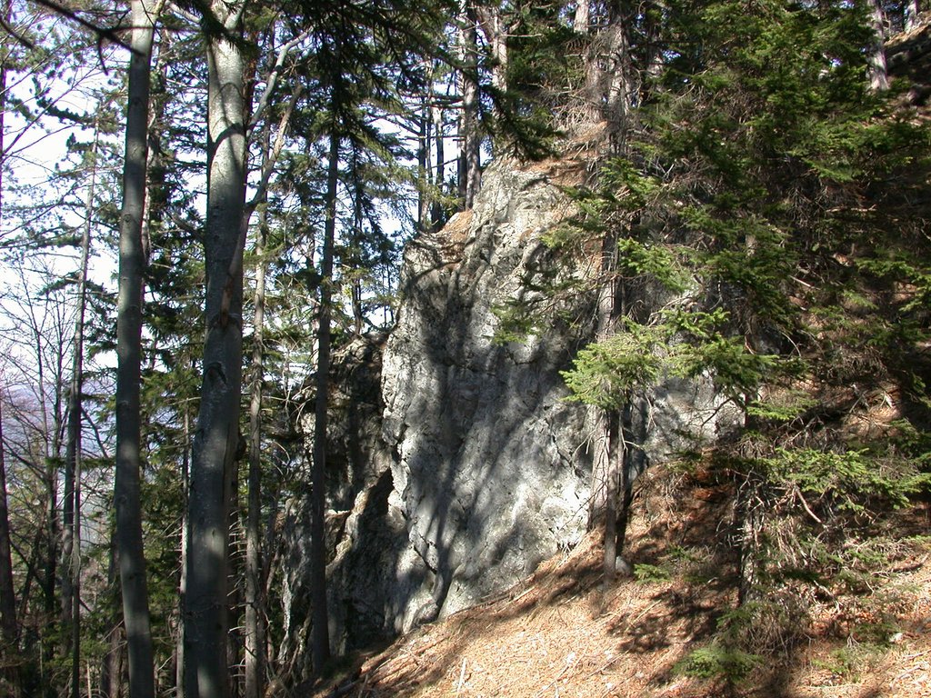 DSCN5024.JPG