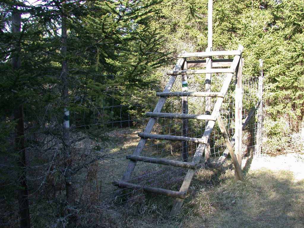 DSCN5026.JPG