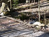 DSCN5004.JPG