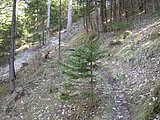 DSCN5016.JPG