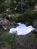DSCN5019.JPG