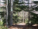 DSCN5023.JPG