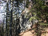 DSCN5024.JPG