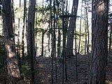 DSCN5025.JPG