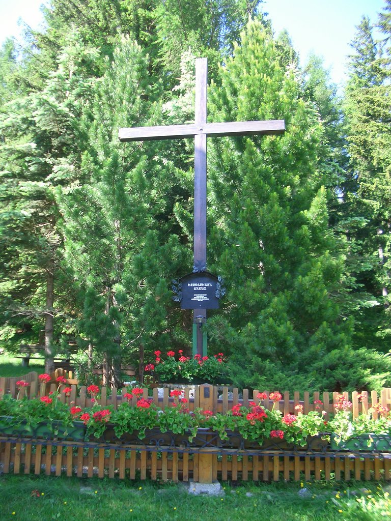 CIMG5665.JPG