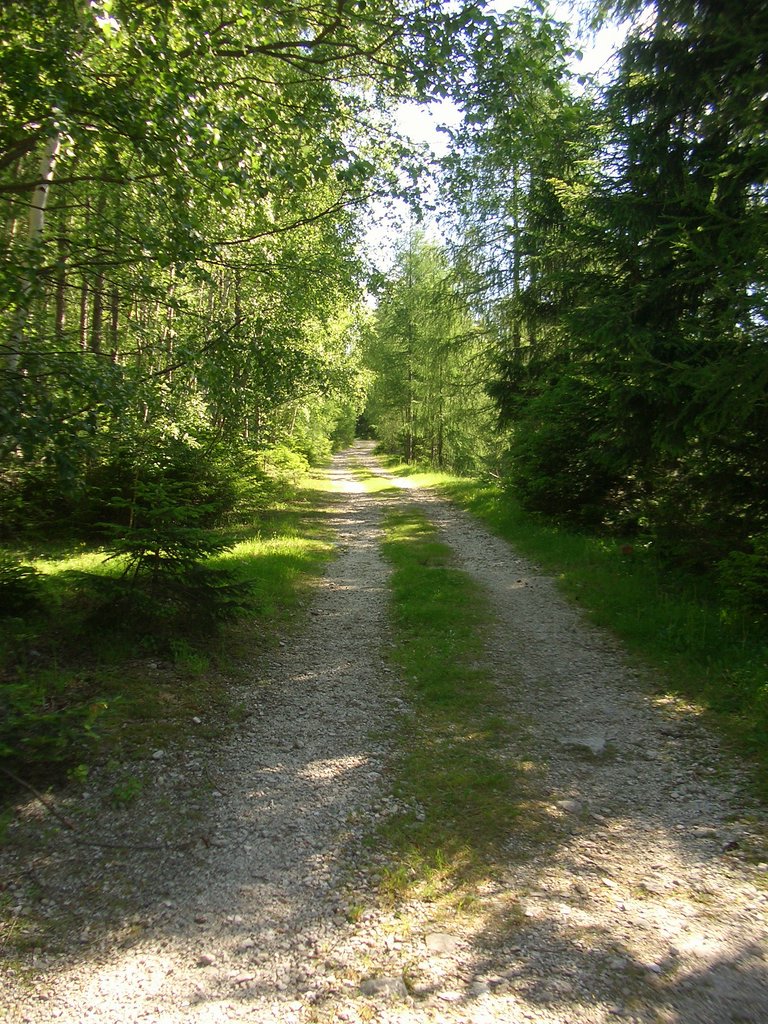 CIMG5667.JPG