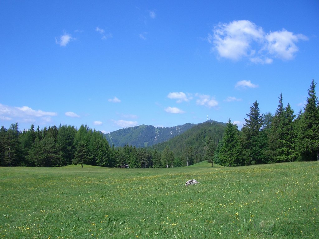 CIMG5675.JPG