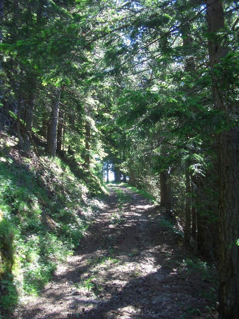 CIMG5678.JPG