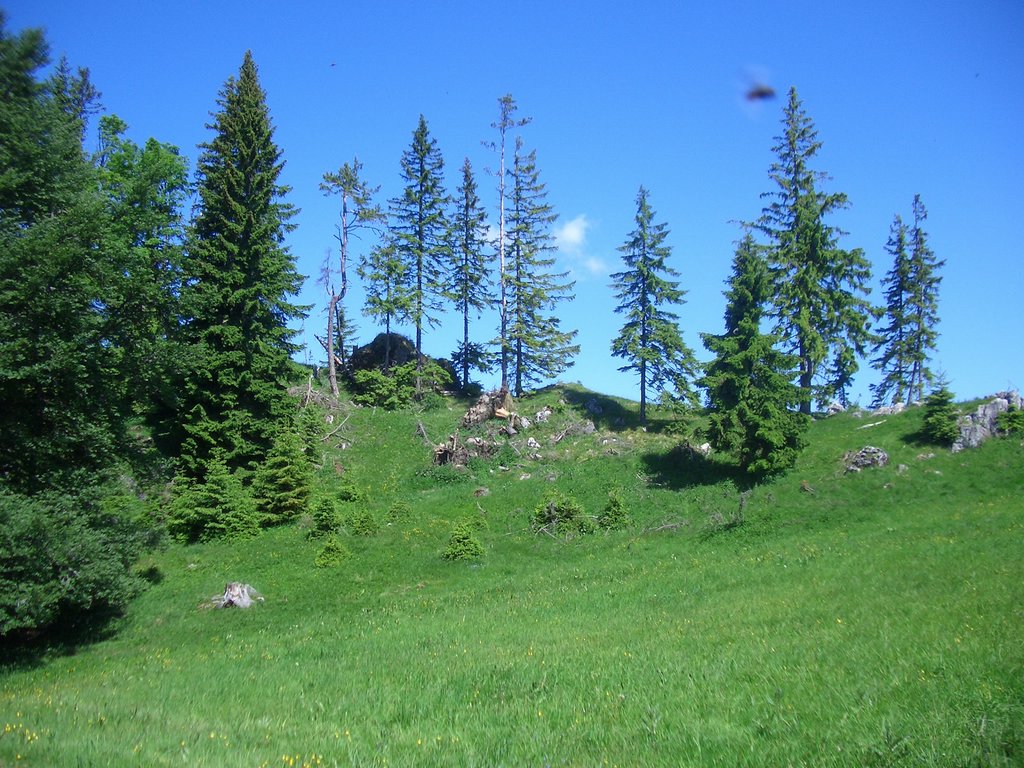 CIMG5679.JPG