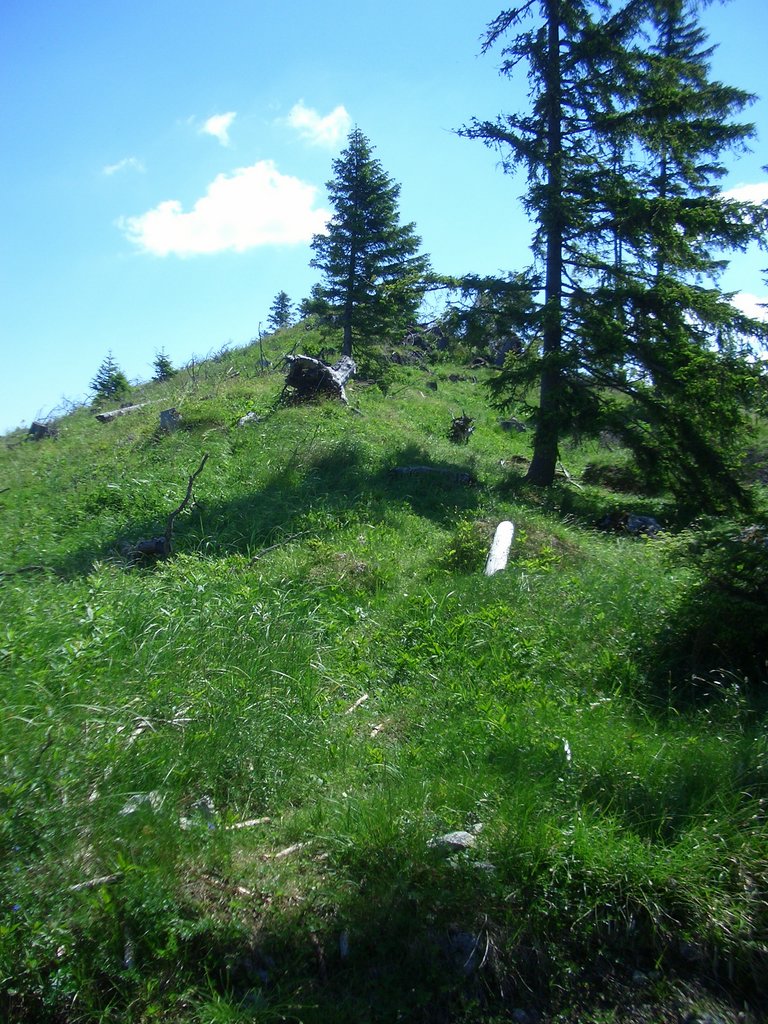 CIMG5682.JPG